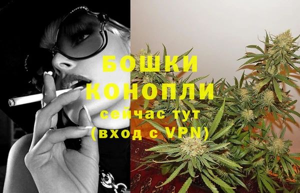 ешки Арсеньев