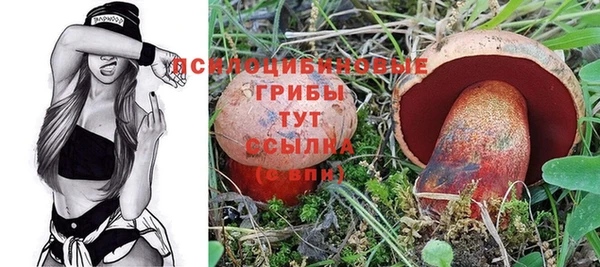 а пвп мука Балабаново