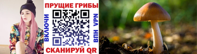Псилоцибиновые грибы MAGIC MUSHROOMS  Тетюши 