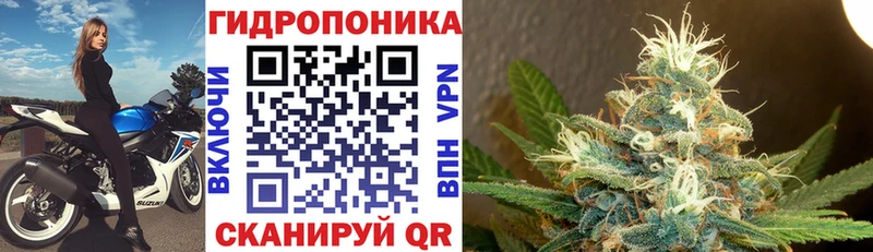Канабис VHQ  сколько стоит  Тетюши 